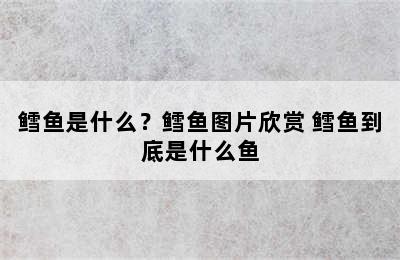 鳕鱼是什么？鳕鱼图片欣赏 鳕鱼到底是什么鱼